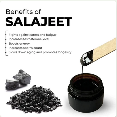 Shilajit - Pure Mountain Resin 20g